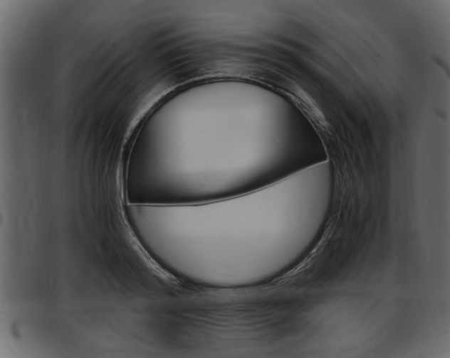 X0000097600796200802290730