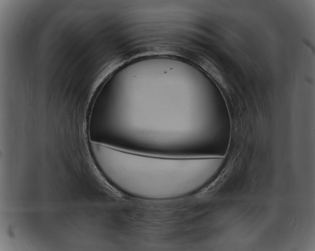 X0000097600797200802290730