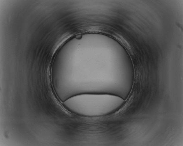 X0000097600798200802290730