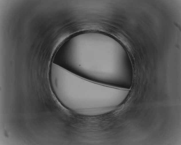 X0000097600799200802290730