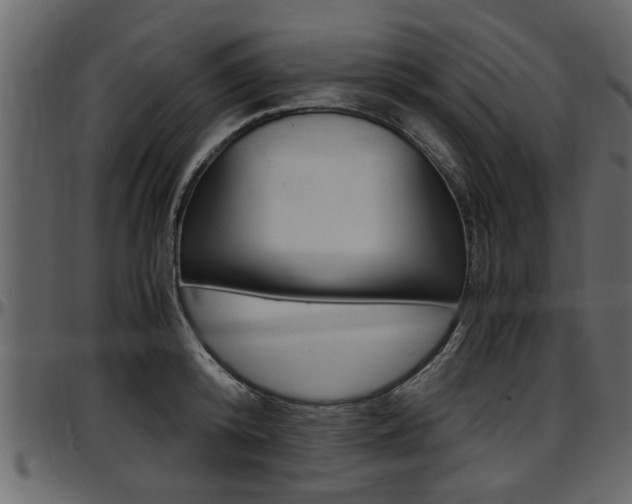 X0000097600800200802290730