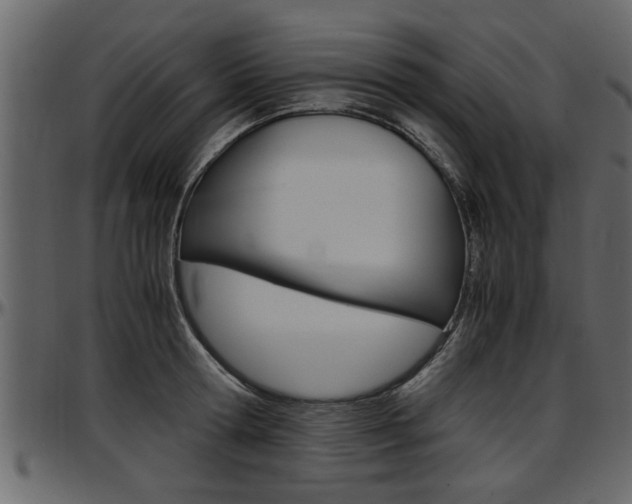 X0000097600802200802290730