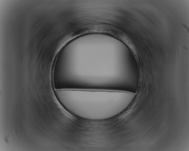 X0000097600803200802290730