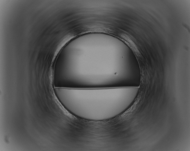 X0000097600804200802290730