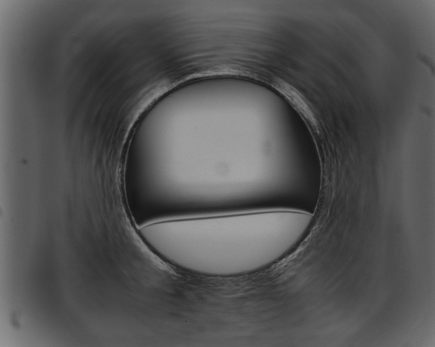 X0000097600805200802290730