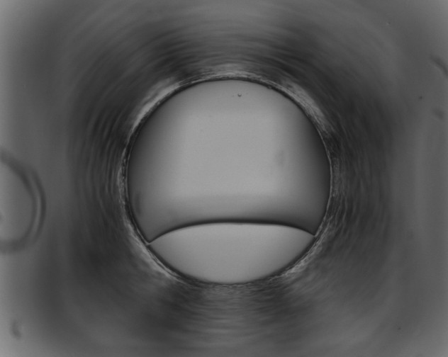 X0000097600806200802290730