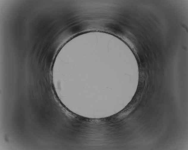 X0000097600807200802290730