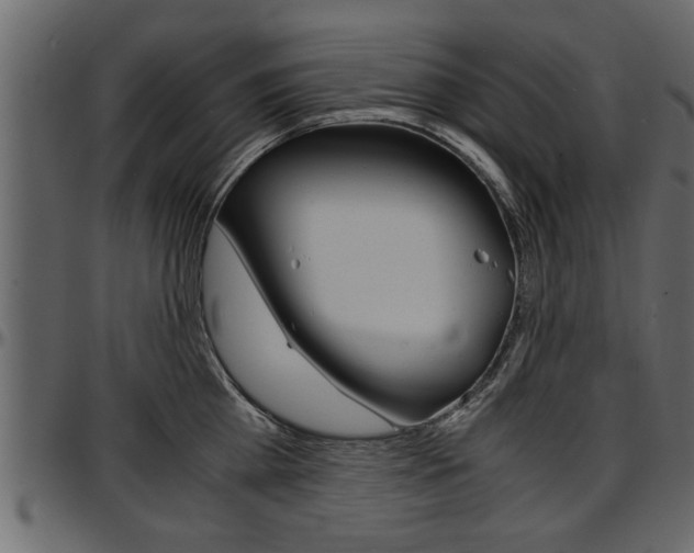 X0000097600809200802290730
