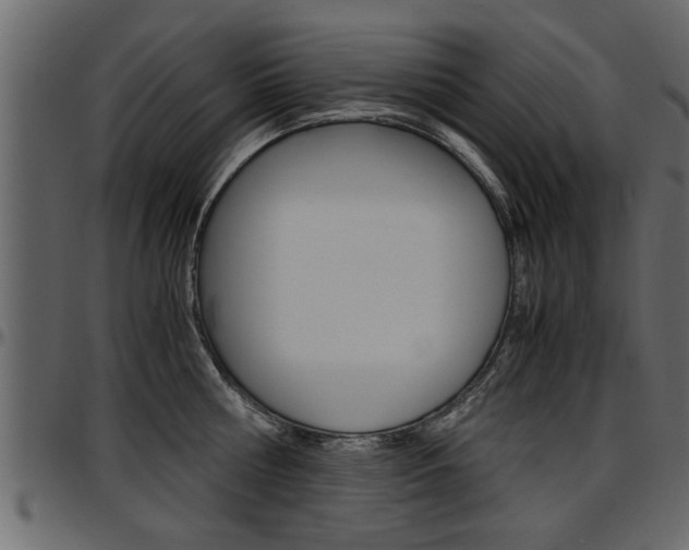 X0000097600810200802290730