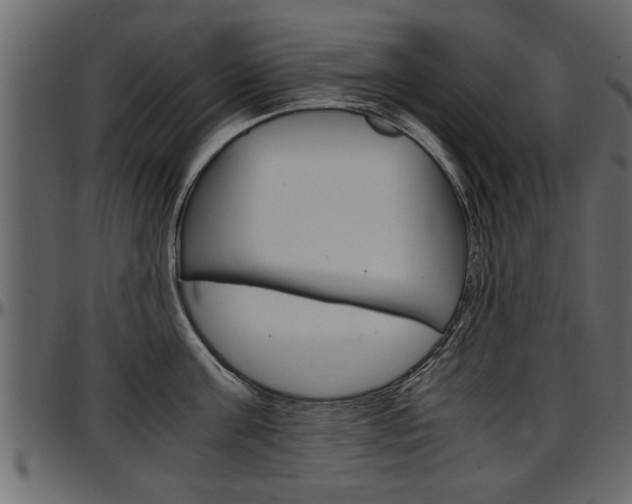 X0000097600811200802290730