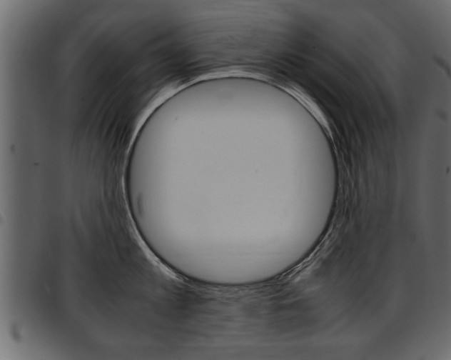 X0000097600813200802290730