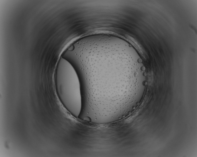 X0000097600814200802290730