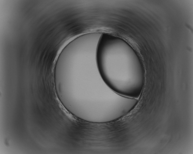 X0000097600816200802290730