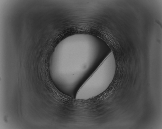 X0000097600817200802290729
