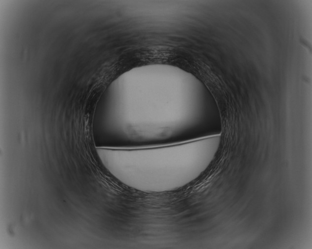 X0000097600818200802290729