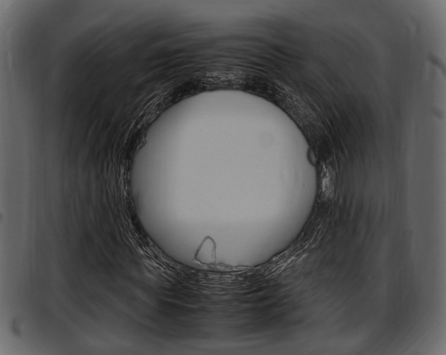 X0000097600819200802290729