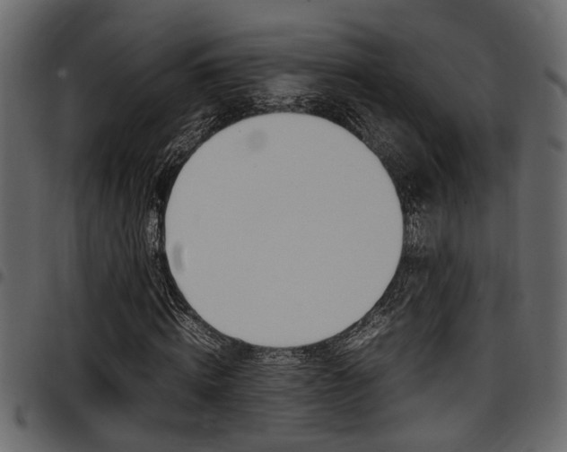 X0000097600820200802290729
