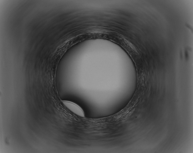 X0000097600821200802290729
