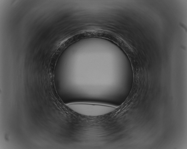 X0000097600822200802290729
