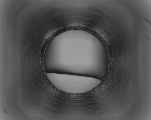 X0000097600823200802290729