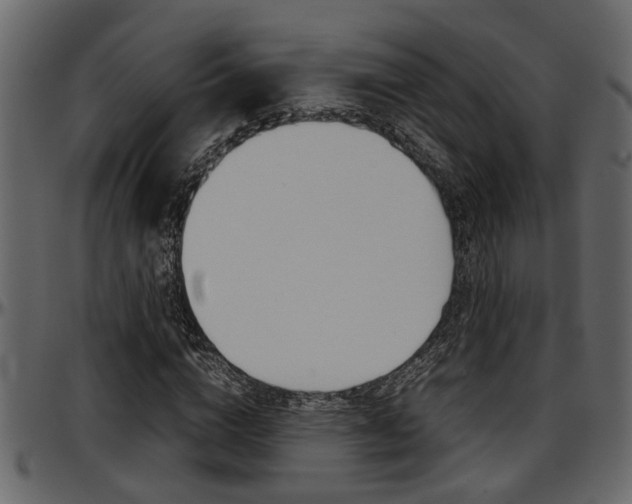 X0000097600824200802290729
