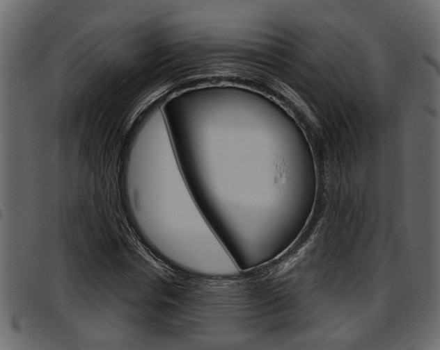 X0000097600826200802290729