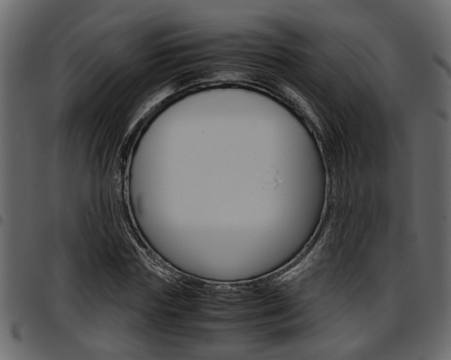 X0000097600827200802290729