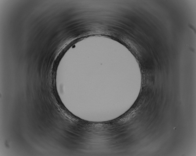 X0000097600828200802290730