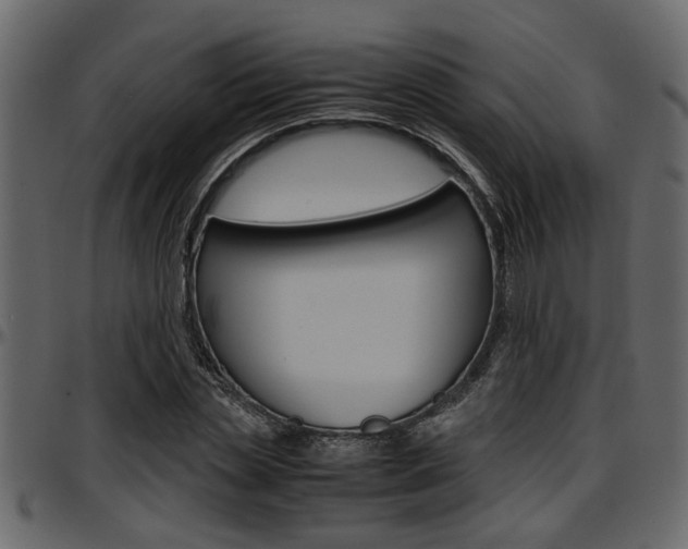 X0000097600829200802290730