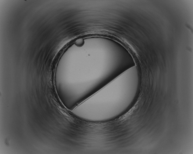 X0000097600830200802290730