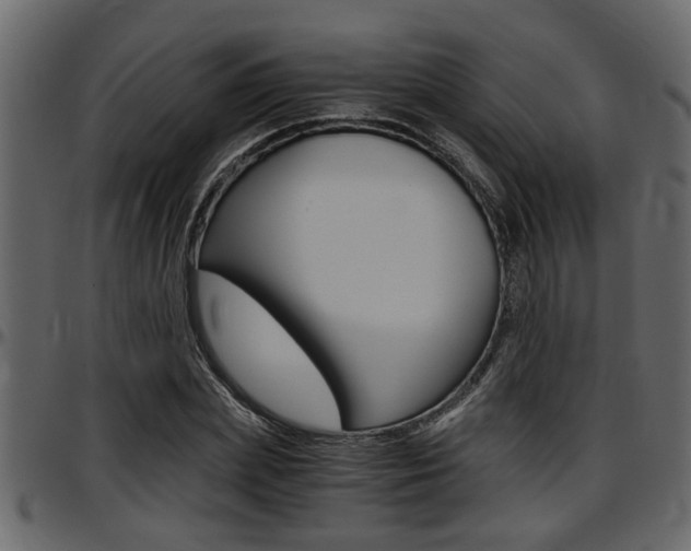 X0000097600831200802290730