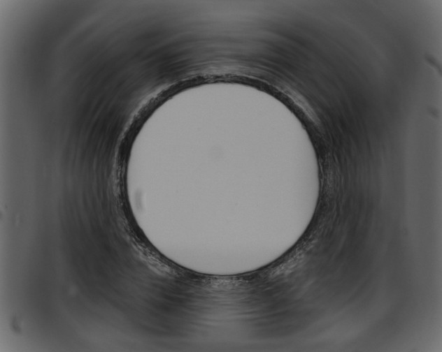 X0000097600832200802290730