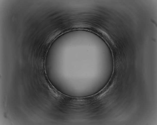 X0000097600833200802290730