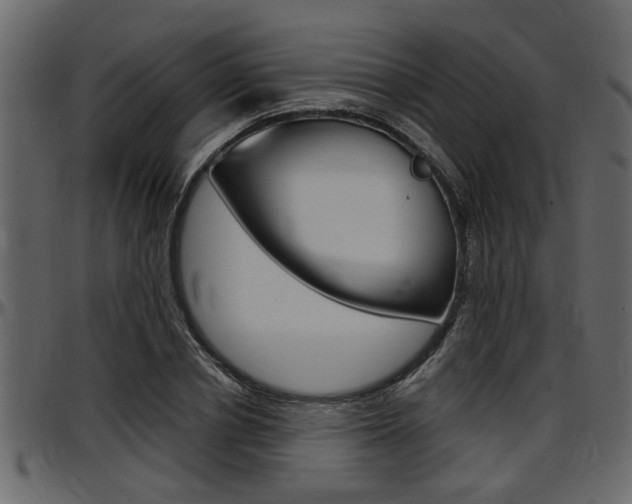 X0000097600834200802290730