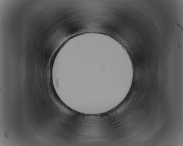 X0000097600836200802290730