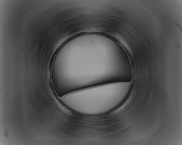 X0000097600837200802290730