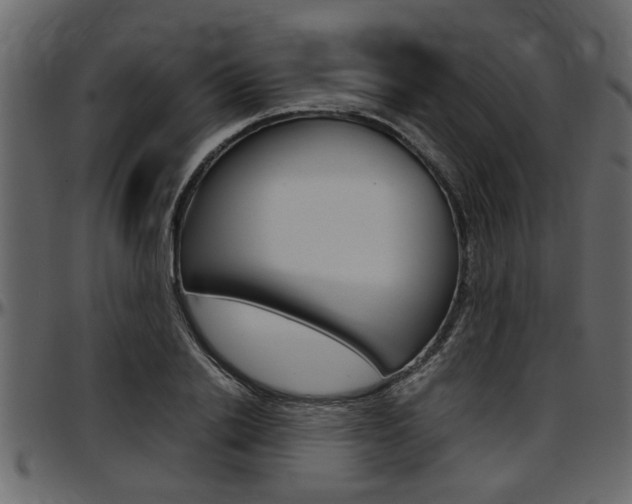 X0000097600838200802290730