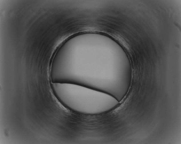 X0000097600839200802290730