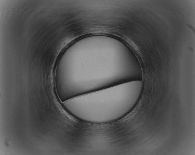X0000097600840200802290730