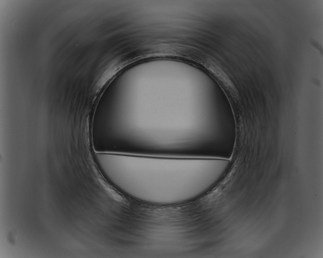 X0000097600842200802290730