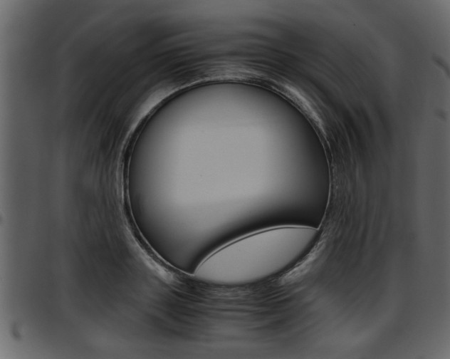 X0000097600843200802290730