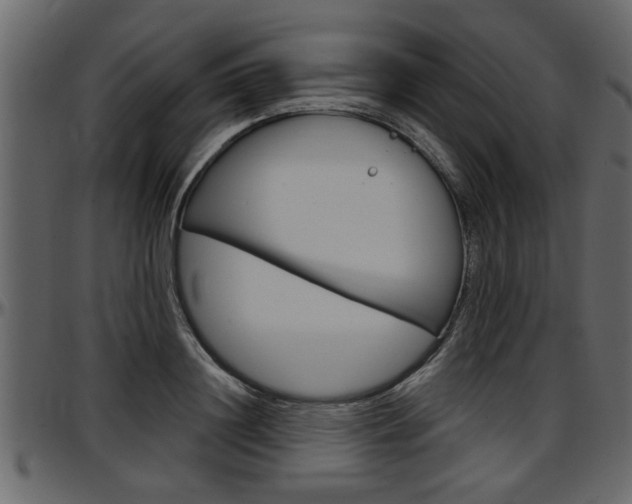 X0000097600844200802290730