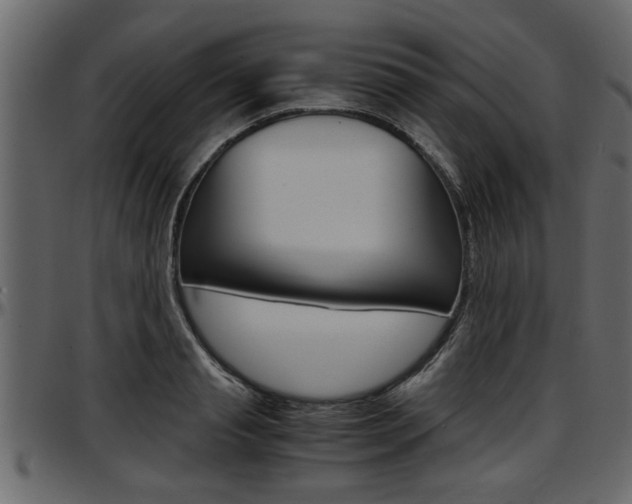 X0000097600845200802290730