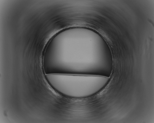 X0000097600846200802290730