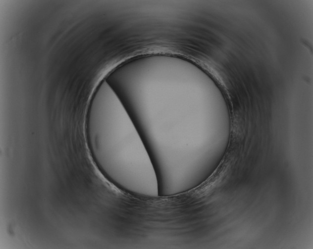 X0000097600847200802290730