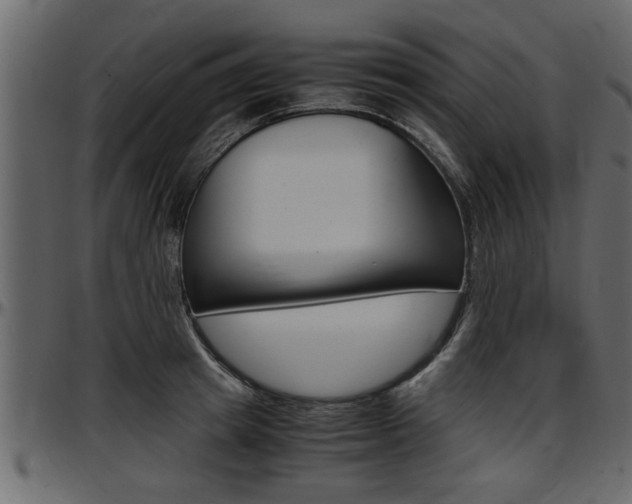 X0000097600849200802290730