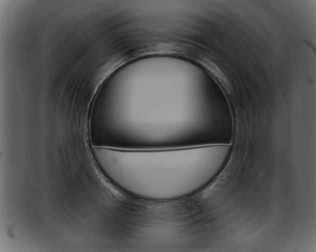 X0000097600850200802290730