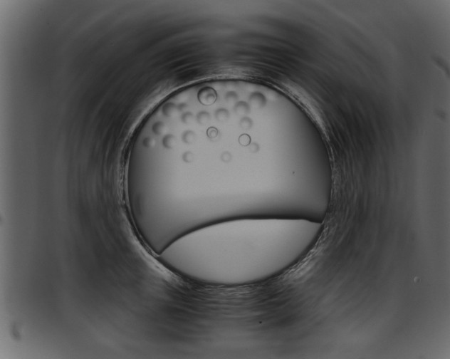 X0000097600851200802290730