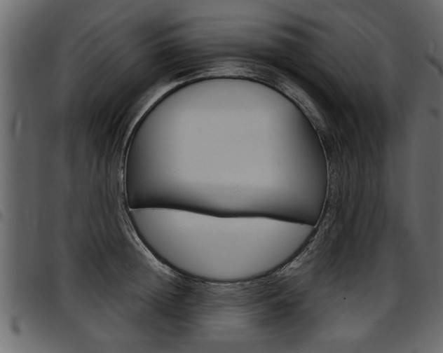 X0000097600852200802290730