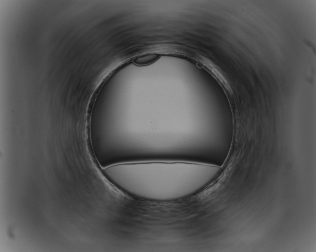 X0000097600853200802290730